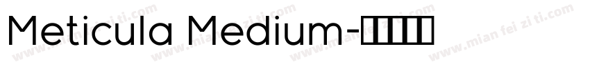 Meticula Medium字体转换